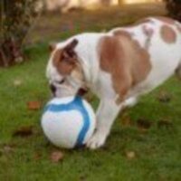 8d5ebee4e5f57adec2e631cbfd161ca345499eff