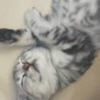 C1b24d6eba7d814891e50bb6470fb790aa222e14