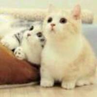 22f422cda2d7293c0d36a0471d66954cda182cca