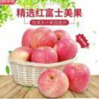 73d759d5ad7d528e15169d04688fae3f0269679e