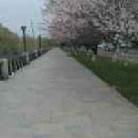 Fd5409f26806725f0eed5a87854ae5daa089ab1c