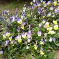 Dacc59d69ed3e013c1b267677b5a90f20243ede8