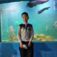 930495affb3aa8326c3c887d12b8a45dabea619b