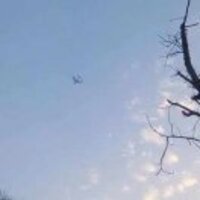 8bba0c9315277fbf3e14d486ed721732c106a9e1