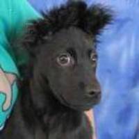 948d2f54e84f8caf75ad38c268ac894c87b39f92