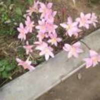 F1ac9639ad57fe3c8e151396c39a6e5e3e964102