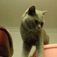 3dae41f2d7f69309335c27f48b18faf4796c7320