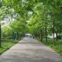 B493799082861ee316a7e8cba2dc3b20e6e24265