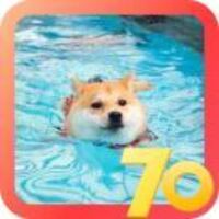 0697f53b7fd5f9840c3925b6897441d3be629adb