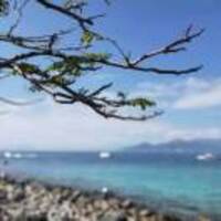 724431c4d1bf4bc752ad625b420f5229a69e198a