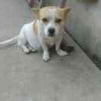 D5e8feed6f53cea6f1c0793a15e886861151b75b