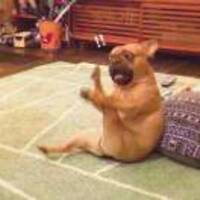 75ccd6bbdf99f28545a28ac9a01e0343063b394a