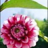 Ed4fb256d8fd0985923d2e57511703abad854f48