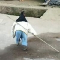 A244f7312f3c70f1f869deafb25a15013ac1cef9