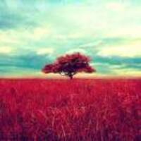 782fcdc75078ad5d3c639f8b83b3b2c54dad96dc