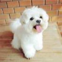 Fb7ab37ffbe1e55c64f2f28105671e298194a12b