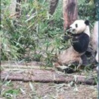 E1ad875840304c68ec8c28cde41e76272c037c97