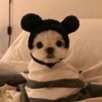 C4cd5753a5604118fc50feeb9fd5c125c83d4e2e