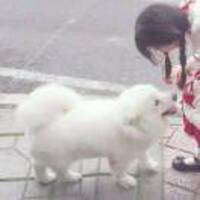 1012e4cc87a621841c7cc49ac7ac5c12662abf02