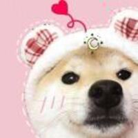 428cf9d70817b1a82e18d39973c1de84278bea48