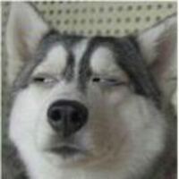 242dc6b330790bcc4461d53dcb8f8037f50d1821