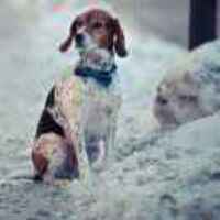 351bd0b18870f1d0b5d748c66af872942d304ff7