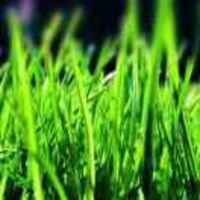 4f4a41236fd96cd3ce39515bf44ab3a8f00b0183