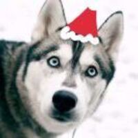 Fd902bbe97709dfff92152fcb33f313ec3b980a8