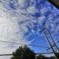 644d6455f6531e11d6576c29f8480172b0541798