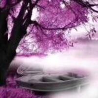 B506b59bd4bd4aeb1ee954cf96fac3e05598518c