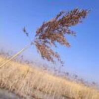 D02556ccb88630e64b48dbf68e716f681c2a594e