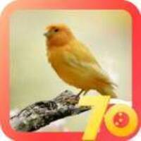 64359a7c5654a9f2f9cc36600c234ac7539b1d61