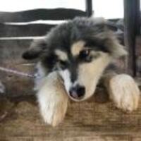 E3113cb895d29097a6bcc47ced0822f9ebcf4efb