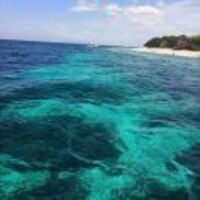 Ebe865a3cf40849e9da92671c09ac608da60a7d3