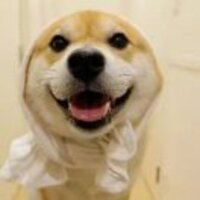 680ac4de9ac9d4f8ab393d9b93c130cb3e8155c5