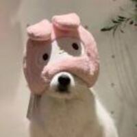 51e0748f29a8219c7e03ec734c888bae706f9b7b