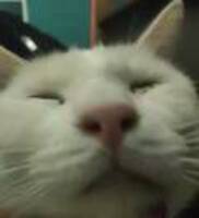 0dab6023915c119f2556f67cb63d5563150b91d4