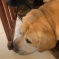 201c0578f2df23b57d39736eae08075fa680dd1c