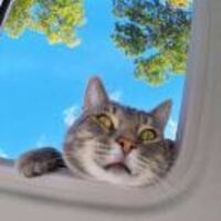 2f3e909c526866b91755168f68366c463487d52d