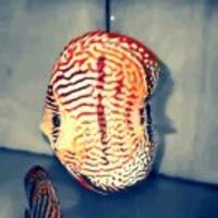 1c5365fb5572ee3658f49208f6c3ec198f82e16d