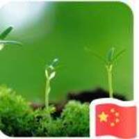 81e7805303c30d37e23efd5231a48d91c0effc4b