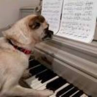 87b5610f20f61132217feeb9e5bdc3480a142e60