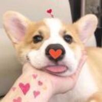 Ff39f13f9931d4ed9ff59603fe5c58b2401d44d0