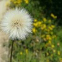 D70a69f3e875451b5bc4854bb93fb21d3184cb78