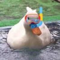 1b5d11358cf6fd53eae62ad9d1b07065ee0f1523