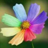 5750129ae4fc5b9436b48d4d0a7b07cbff822a6b