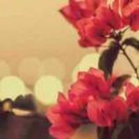 2f24a01fe4dee1f91e1d65f98f90aa449dcbfb2e