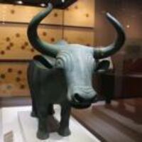 C2c38f8d608321afdb6b35417e3bfed1f054ecb8