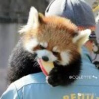 90da0e3370a89a2a8812912f604583504cc97349