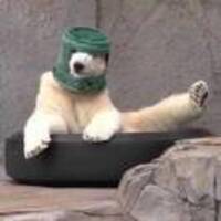 Ec574511cf8e96278020abd513b6aa16208050a1